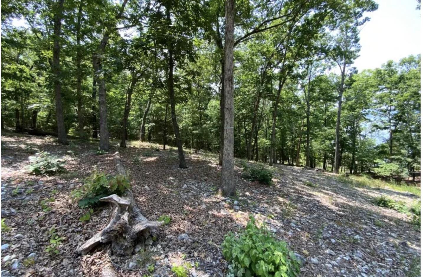 Driftwood Resort Bull Shoals Экстерьер фото
